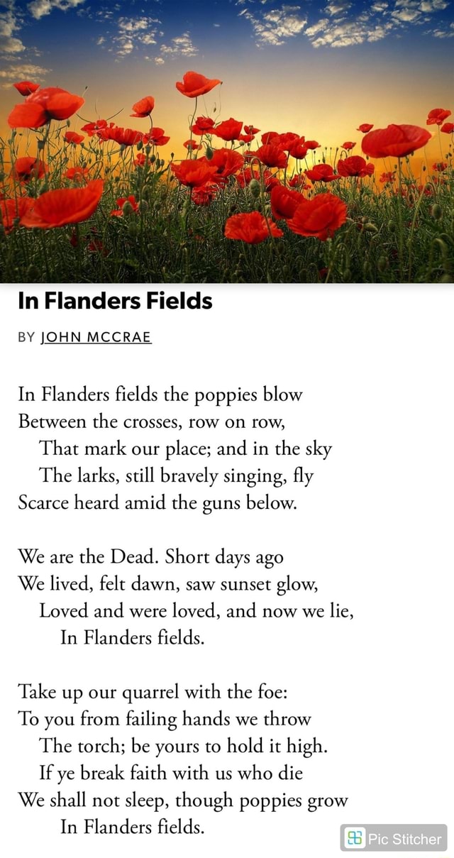 In Flanders Fields BY JOHN MCCRAE In Flanders fields the poppies