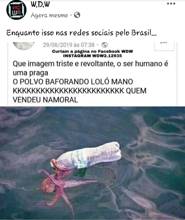 Que imagem triste e revoltante, o ser humano é uma praga POLVO BAFORANDO  LOLO MANO QUEM VENDEU NAMORAL - iFunny Brazil