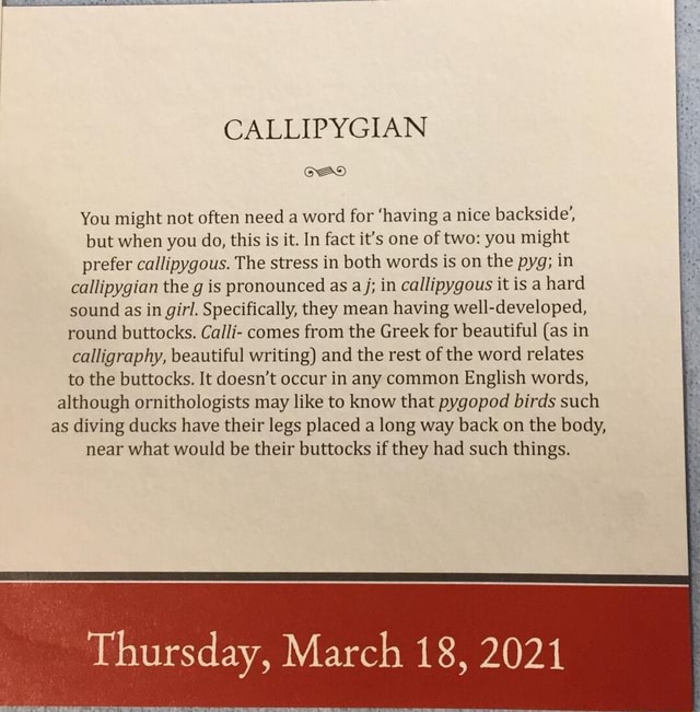 The Daily Word: Callipygian  Reposted with Captions Definition