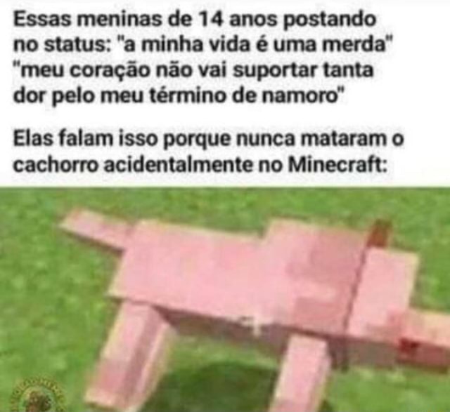 Quando eu estou morrendo na Fila do SUS e me lembro do meme do cachorro  Falando Intankavelo Bostil - iFunny Brazil