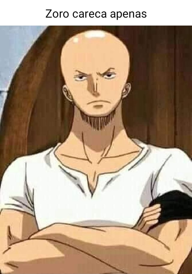 Zoro careca  Zoro, Imagens de capivara, Anime dos anos 90