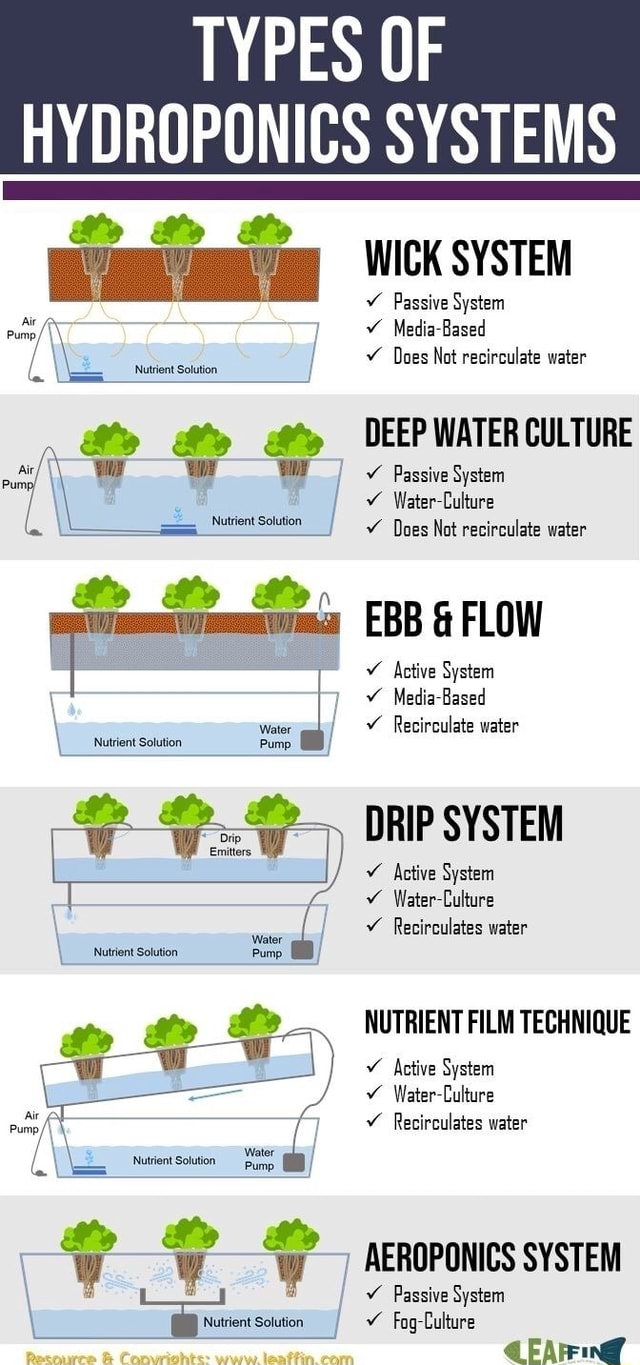 Air = Nutrient Solation Nutrient Solution Water Nutrient Solution Pump