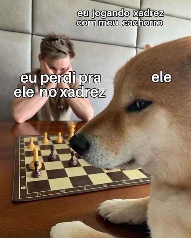 Eu jogando xadrez sozinho : ais - iFunny Brazil