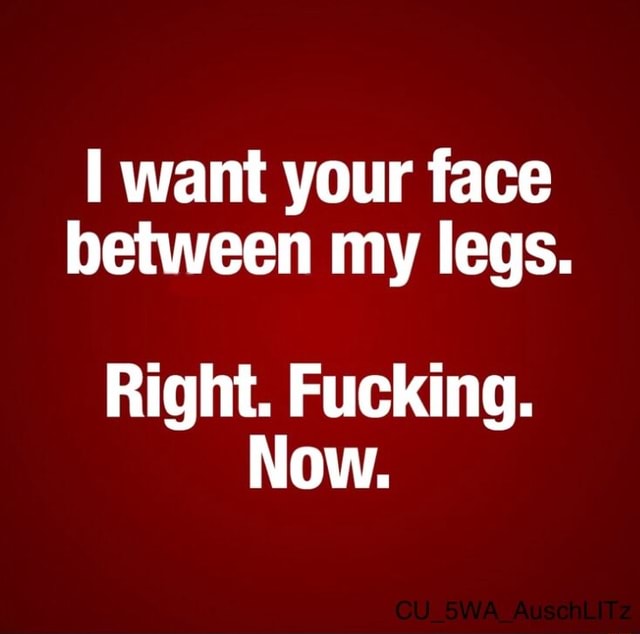 Want your face between my legs. Right. Fucking. Now. - iFunny Brazil