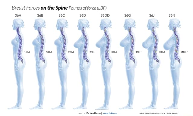 Breast Forces on the Spine Pounds of force (LBF) 36DD source: Dr. Ken  Hansraj De - iFunny Brazil