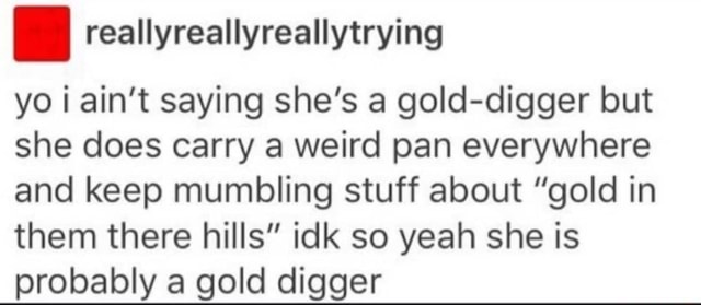 Reallyreallyreallytrying yo i ain't saying she's a gold-digger but she does  carry a weird