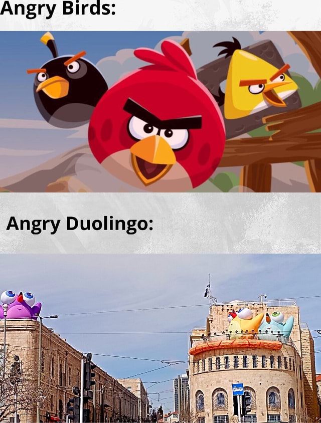 passou de duas linhas eu não leio. #memes #shitposting #angrybirds