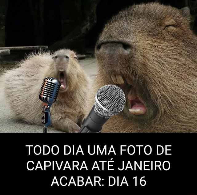 Todo dia a Clara a capivara cantando uma música diferente