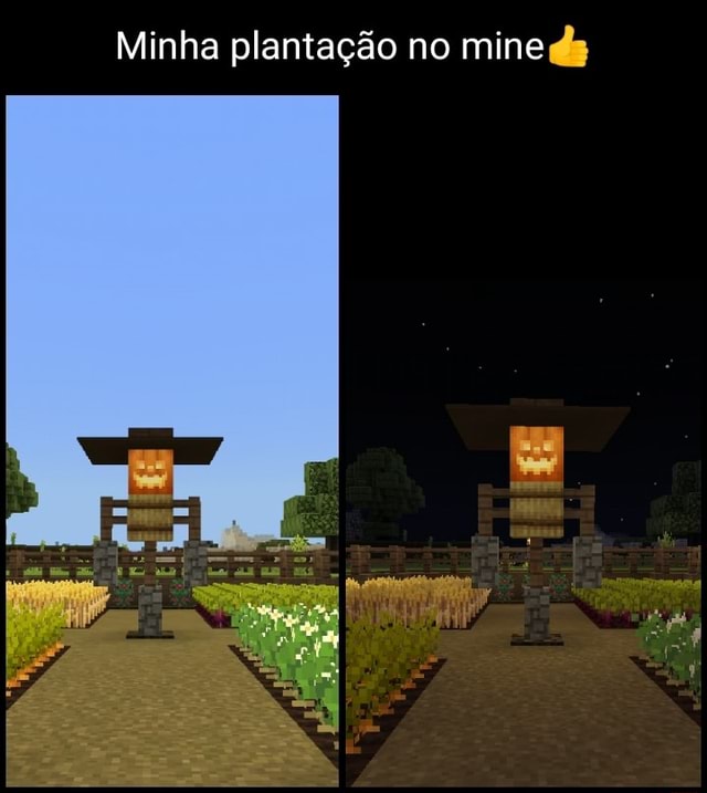 Minha plantação no mine ds - iFunny Brazil