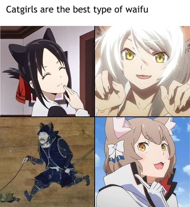 Best Anime Catgirls