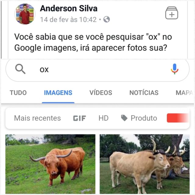 Como aparecer no Google imagens?