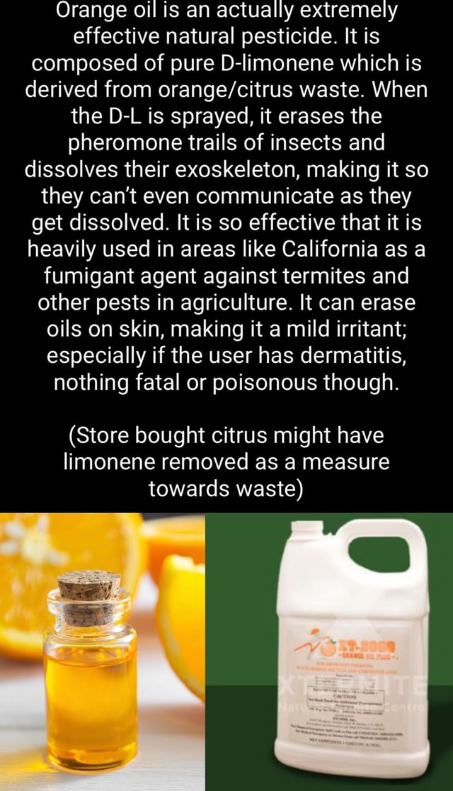 Orange oil is an actually extremely effective natural pesticide. It is