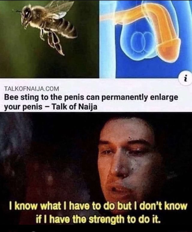 Bee sting to the penis can permanently enlarge your penis Talk of