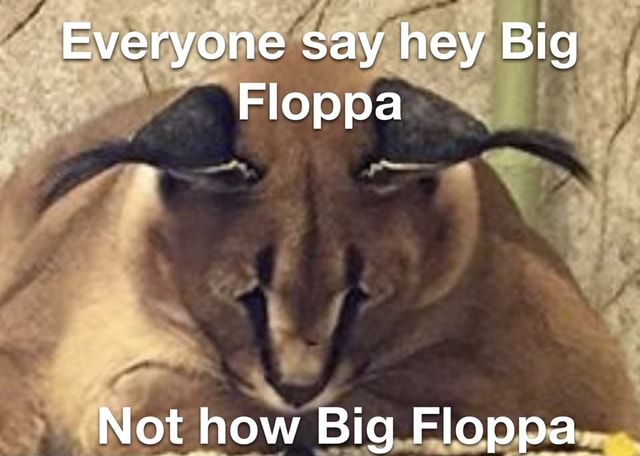 Big floppa was never funny : r/coaxedintoasnafu