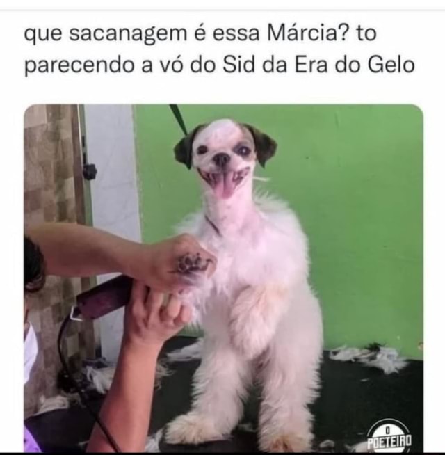 vó do sid da era do gelo