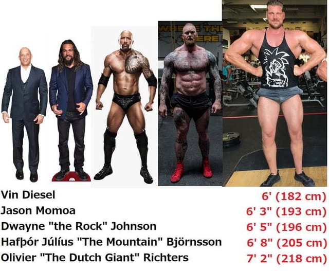 Vin Diesel Jason Momoa Dwayne the Rock Johnson 6'5 Hafbor Julius The  Mountain Bjdrnsson 6' 8 (205 em) Olivier The Dutch Giant Richters 6'  (182 cm) 6' 3 (193 cm) 6' 5 (