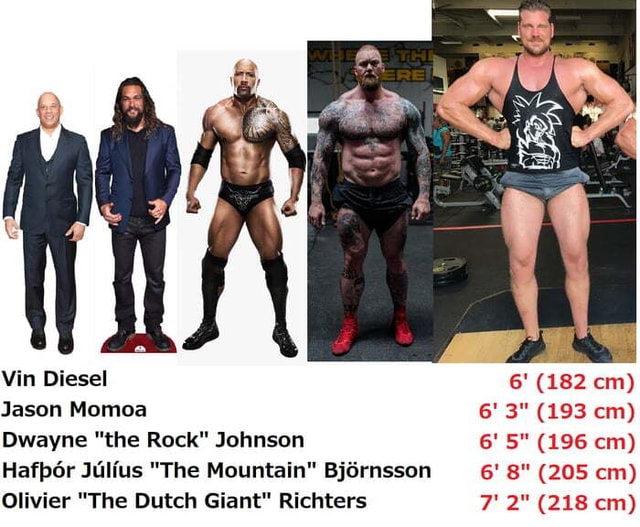 Is Vin Diesel Really The Same Height As John Cena?, the rock height 