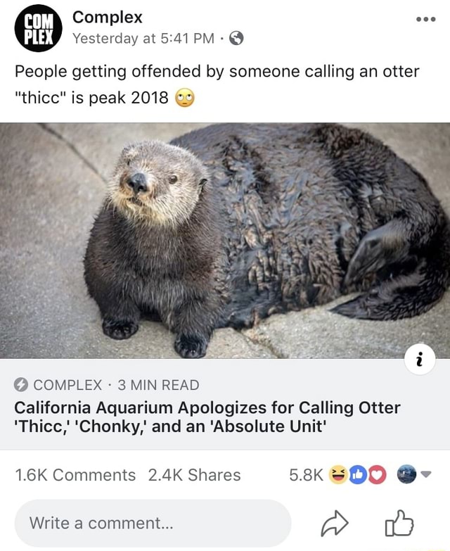 #thicc #animals #otter #offended #2018 - Complex Yesterday at :41 PM ...