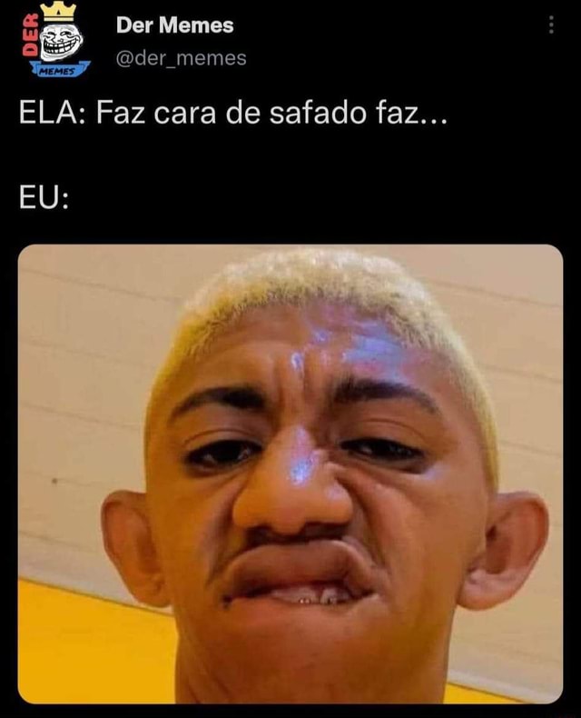 Der Memes Der Memes Ela Faz Cara De Safado Faz Eu Ifunny Brazil 3574