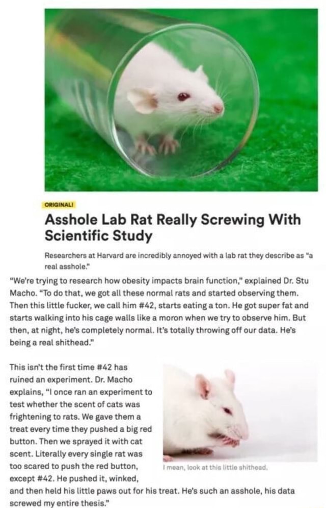 Average rat enthusiast : r/shittydarksouls
