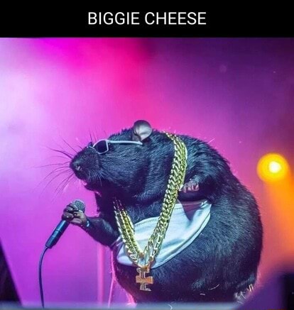 BIGGIE CHEESE KILLED IN DRIVE- BY - iFunny  Biggie cheese, Biggie cheese  meme, Biggie