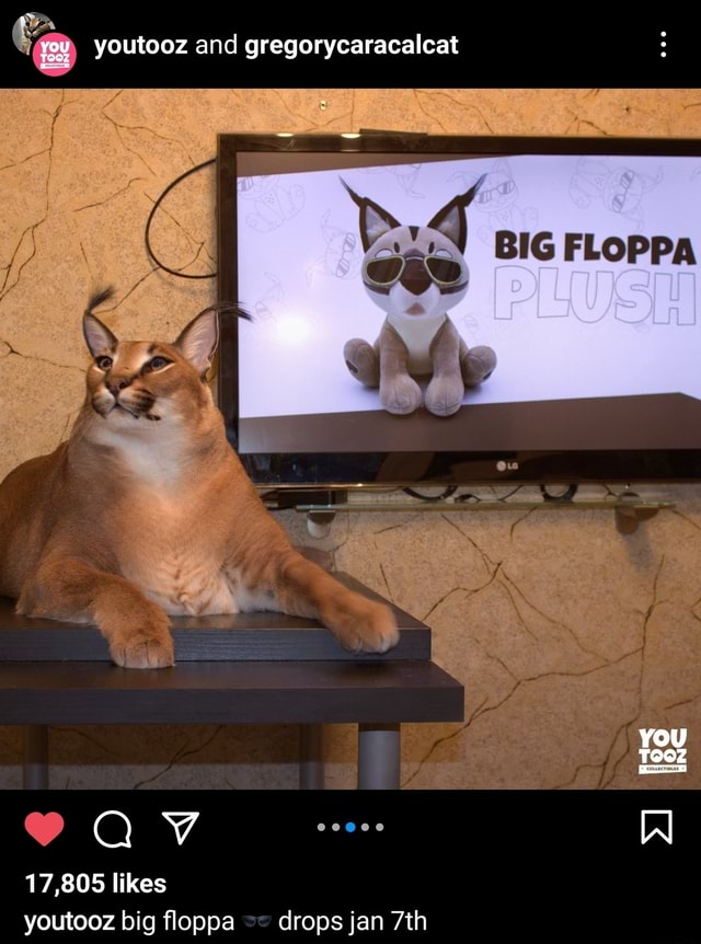 Gregory Caracal AKA Big Floppa - meme post - Imgur