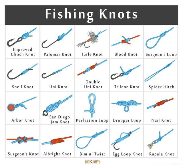 Fishing Knots  SS Clinch Knot Palomar Knot Turle Knot Blood Knot Surgeon's  Loop Double Snell Knot Uni Knot Uni Knot Trilene Knot Spider Hitch San D  Arbor Knot am Knet Perfection