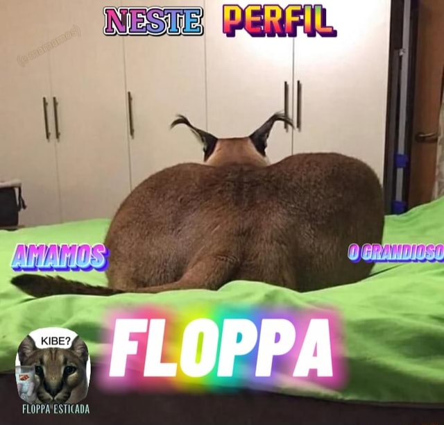 Floppa finó senores - iFunny Brazil