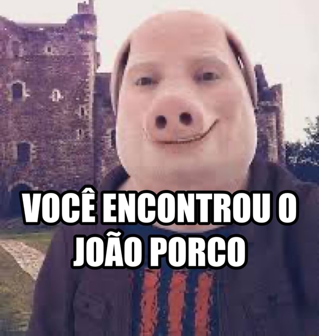 Parabéns Você encontrou 0 John Pork porco número 69 - iFunny Brazil