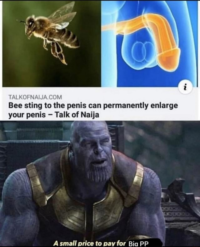 TALKOFNAIJA.COM Bee sting to the penis can permanently enlarge