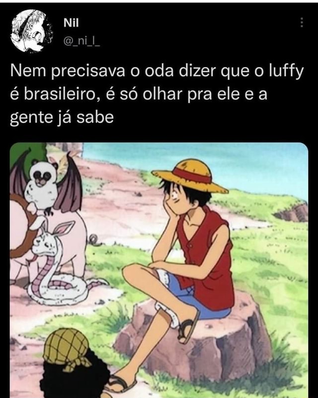 TE CONVIDO A MARATONAR ONE PIECE COMIGO E TODA VEZ QUE O LUFFY FALAR GENTE  SE BEIJA. - iFunny Brazil