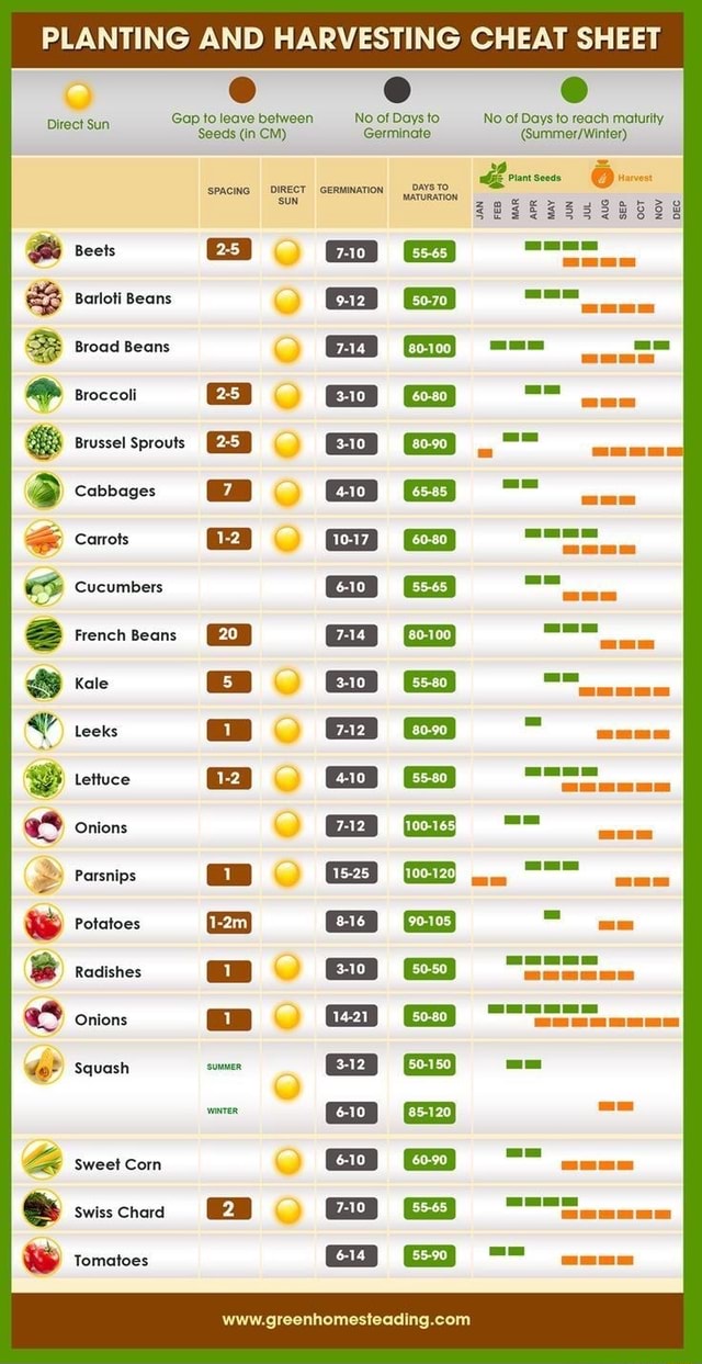 PLANTING AND HARVESTING CHEAT SHEET Gap toleave between No.of Daysto No of Days to reach