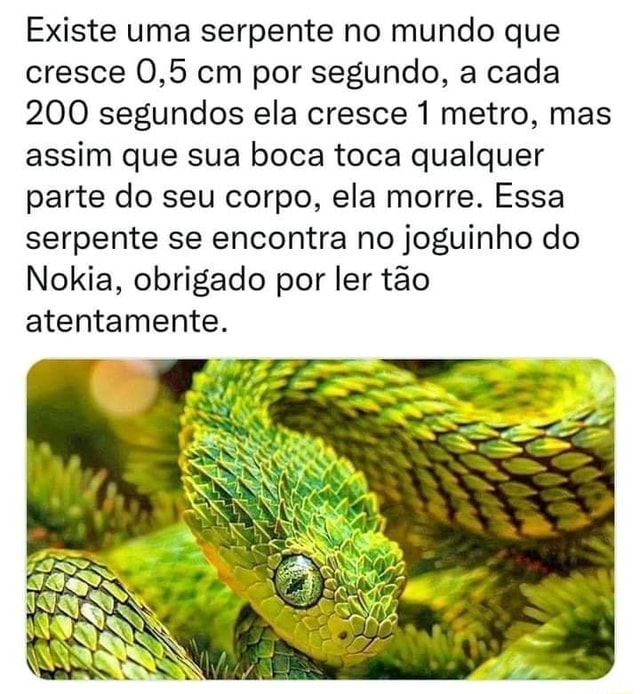 Existe uma serpente no mundo que cresce 0,5 cm por segundo, a cada 200  segundos