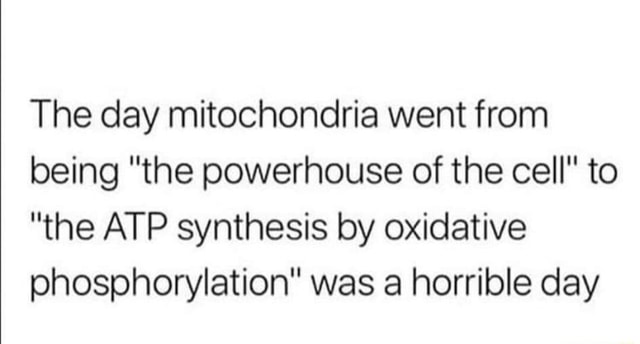 The day mitochondria went from being "the powerhouse of the cell" to