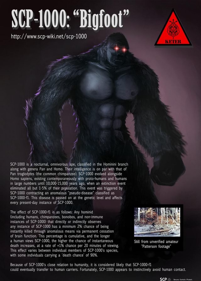 SCP-1000 - Bigfoot (SCP Animation), SCP Explained brings you SCP  Foundation KETER class object, SCP-1000 Animation. SCP-1000 is a nocturnal,  omnivorous ape. Adults range in size from 1.5, By The Infographics Show