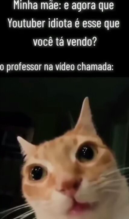 Pana o idiota chamado qeu a Com esse diploma do cwo agora poderá entender  memes do