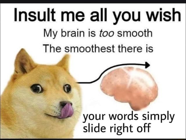 Insult Me All You Wish My Brain Is Too Smooth