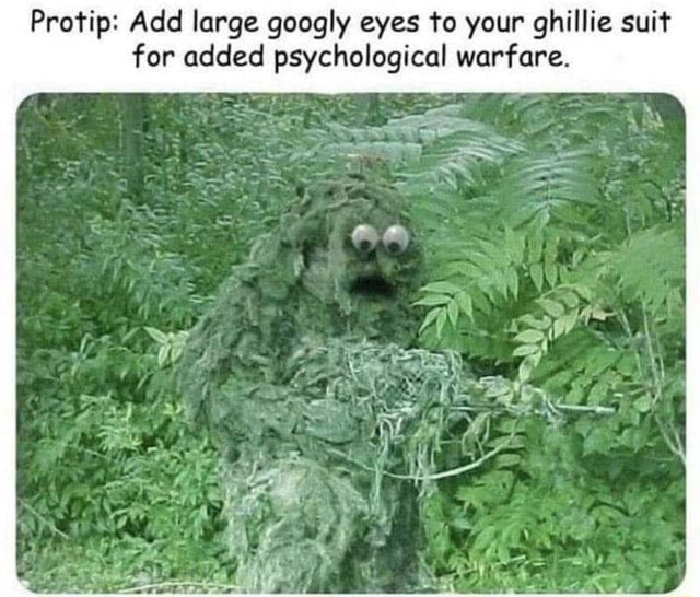 Protip: Add large googly eyes to your ghillie suit for added