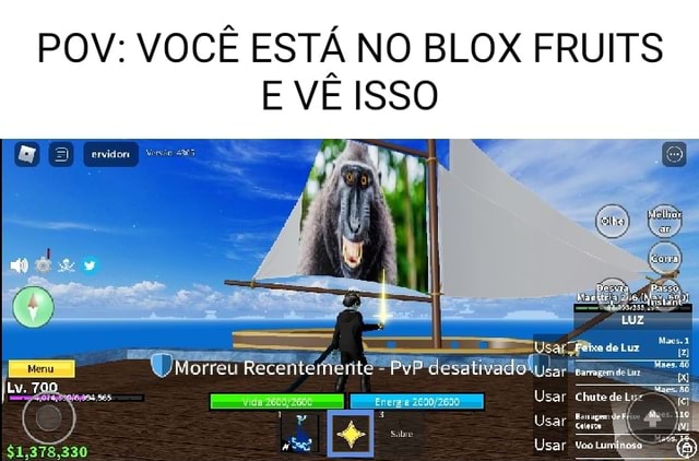 Pov: você está vendo um cara que saiu da safe zone no blox fruits - iFunny  Brazil