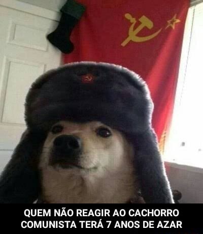 O Cachorro Do 4° Hokage kkk #cachorro #comedia #risadas #memes #humort