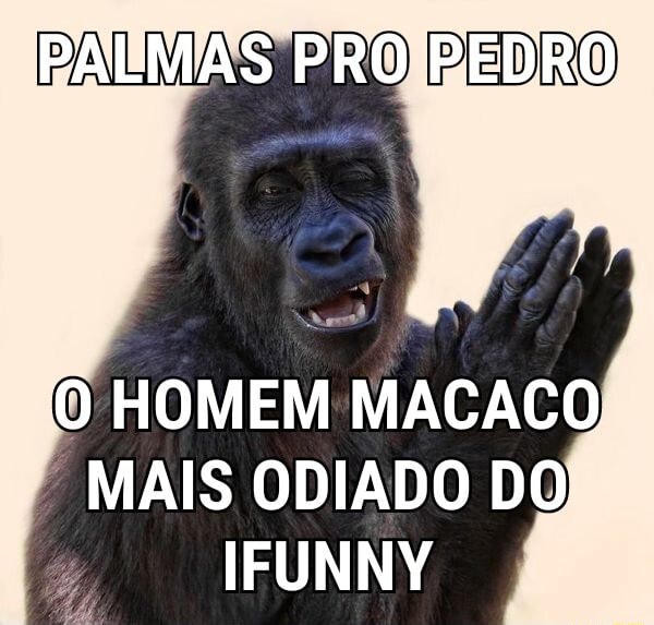 Parado aí, Macaco Louco! Bh, nãoyEstou sêndo oplimírio - iFunny Brazil