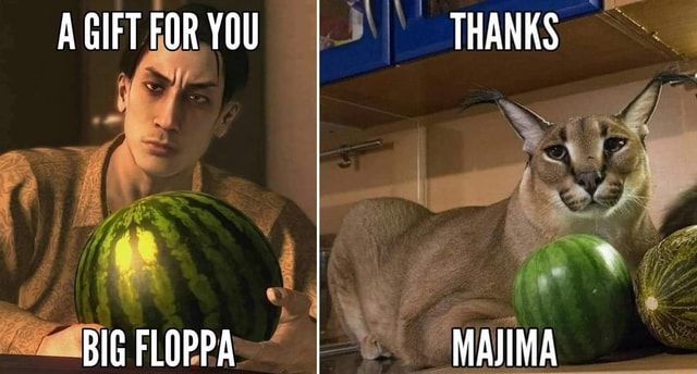 Big Floppa offers you a watermelon. Will you accept this? commit war crimes  YES anainct Carhia - iFunny Brazil