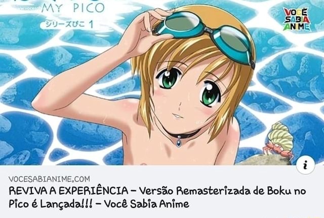 Você Sabia Anime?