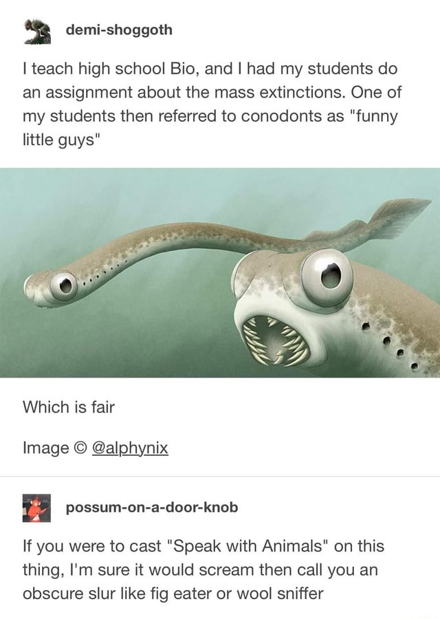 caninemutual you all discuss the forbidden snacks, but what about the FORBIDDEN PLAYGROUND & theghostofsomethingorother - iFunny