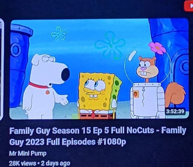 Family guy season deals 15 full episodes