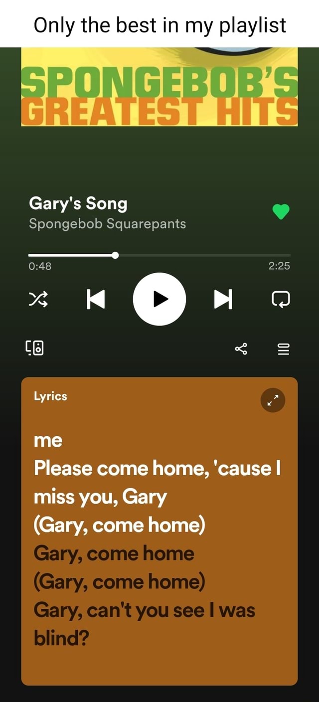 Gary's Song 