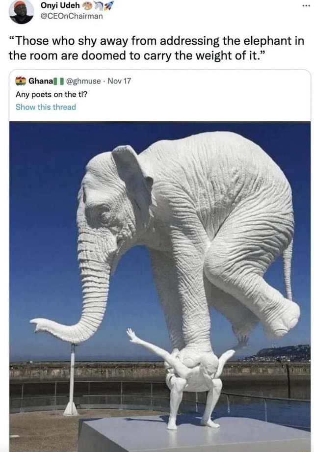 elefante38 (u/elefante38) - Reddit