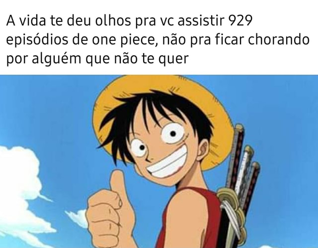 Ódio ou paixão? Hater de One Piece cria 300 emails para dar Nota ao Anime  Você Sabia Ani Q - iFunny Brazil