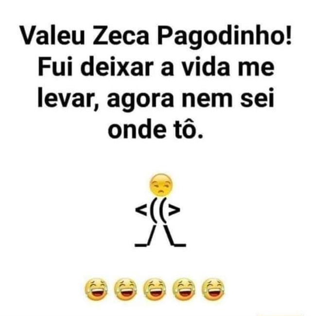 Zeca pagodinho deixa a vida me levar