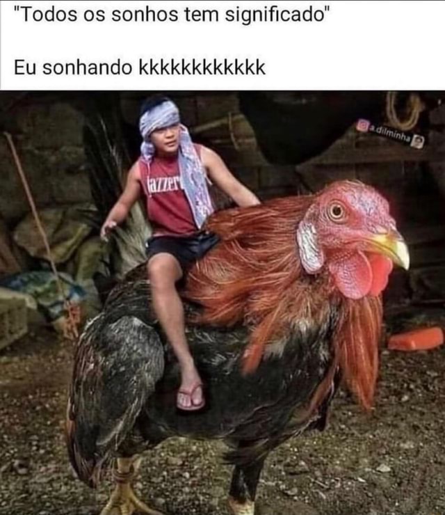 Dalhe bicuda na cara do cão KKKKKKKKKK #memes #tentenaorir #sonhos # significado #natal #anonovo 